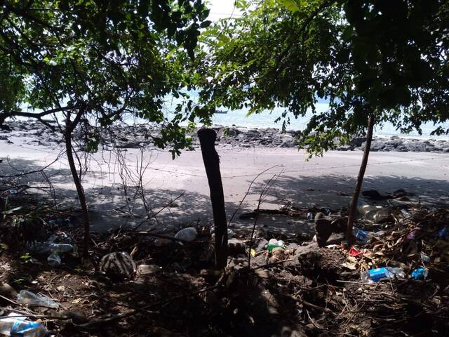 #549892 - Terreno para Venta en Amapala - Valle - 1