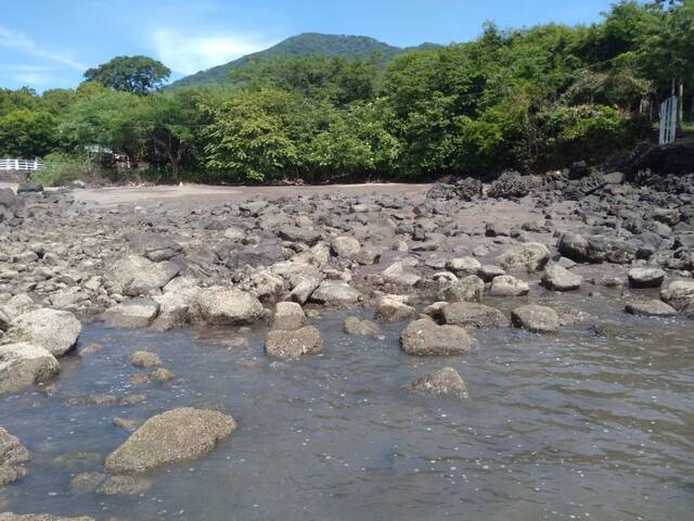 #549892 - Terreno para Venta en Amapala - Valle - 2