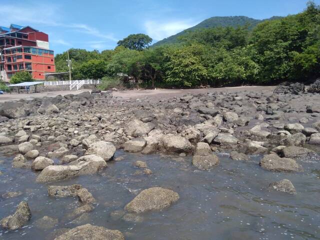 #549892 - Terreno para Venta en Amapala - Valle - 3