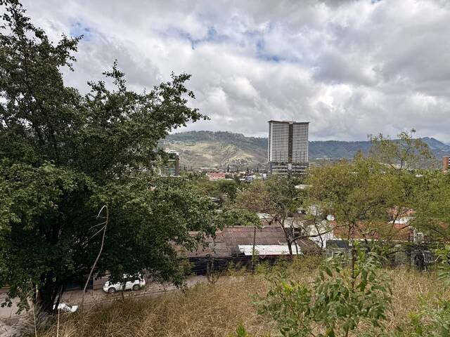  en  - 